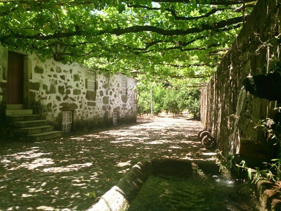 Alojamento de Turismo Rural Estabulo De Valinhas *