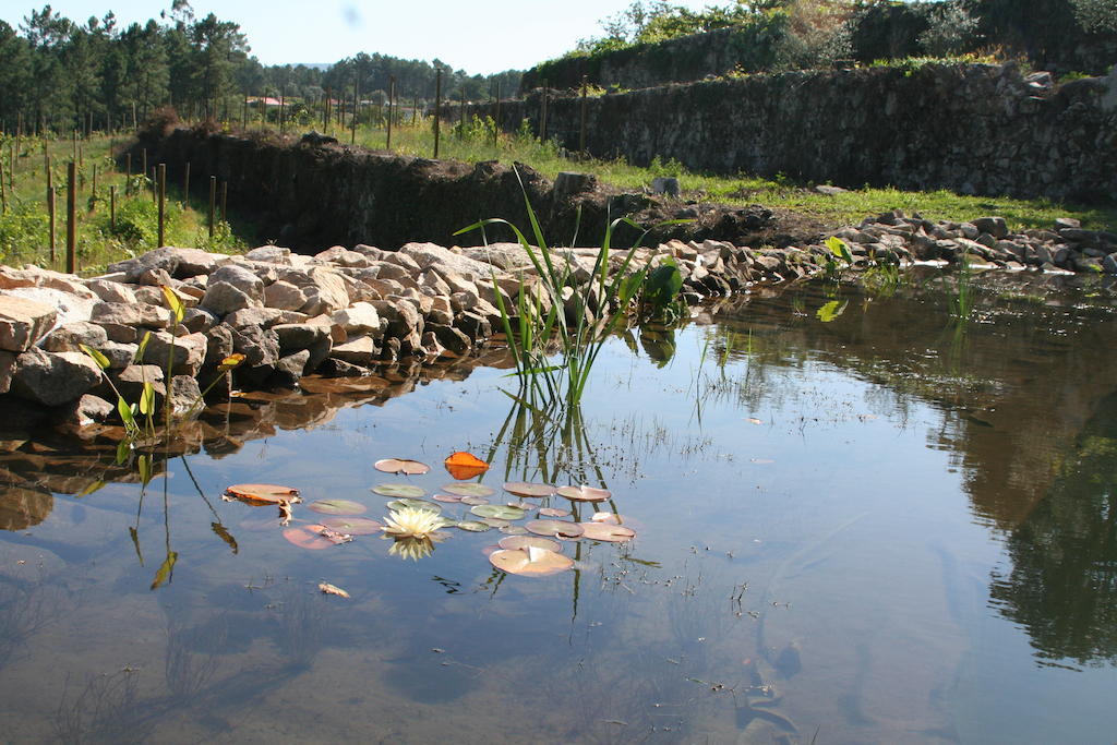Estabulo De Valinhas